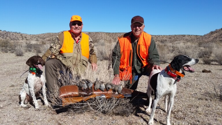 Quail – The Santa Fe Guiding Co