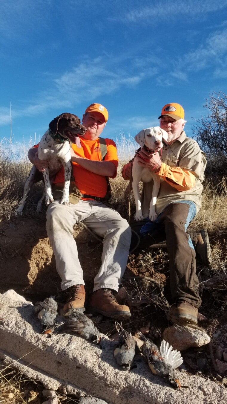 Quail Hunting Dogs - The Santa Fe Guiding Co